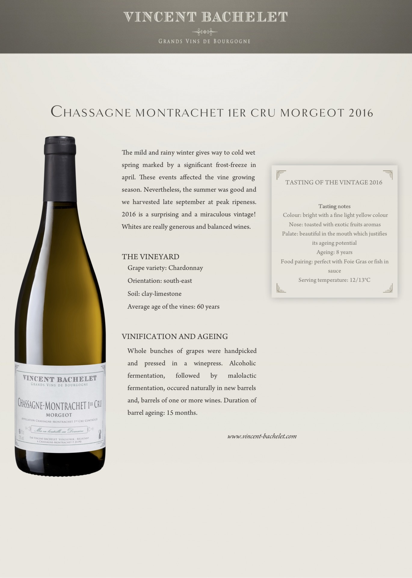 Chassagne Montrachet 1er Cru