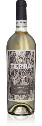 Terra Mia bianco 2018